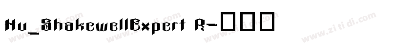 Hu_ShakewellExpert R字体转换